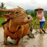 backpacking in south east asia (17)